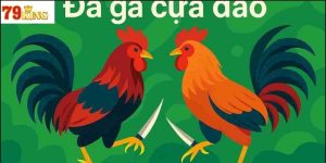 Những lưu ý khi tham gia đá gà cựa dao